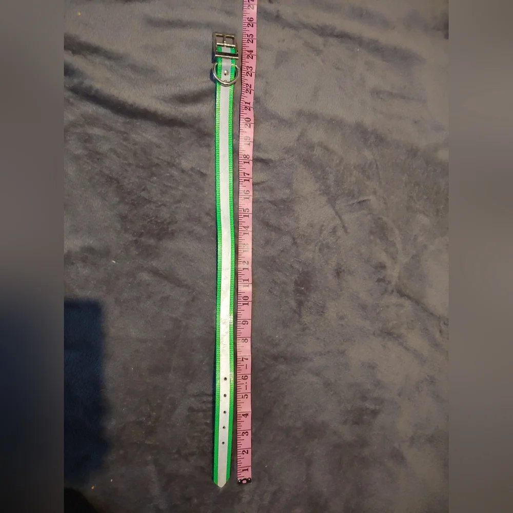 Amazon reflective collar